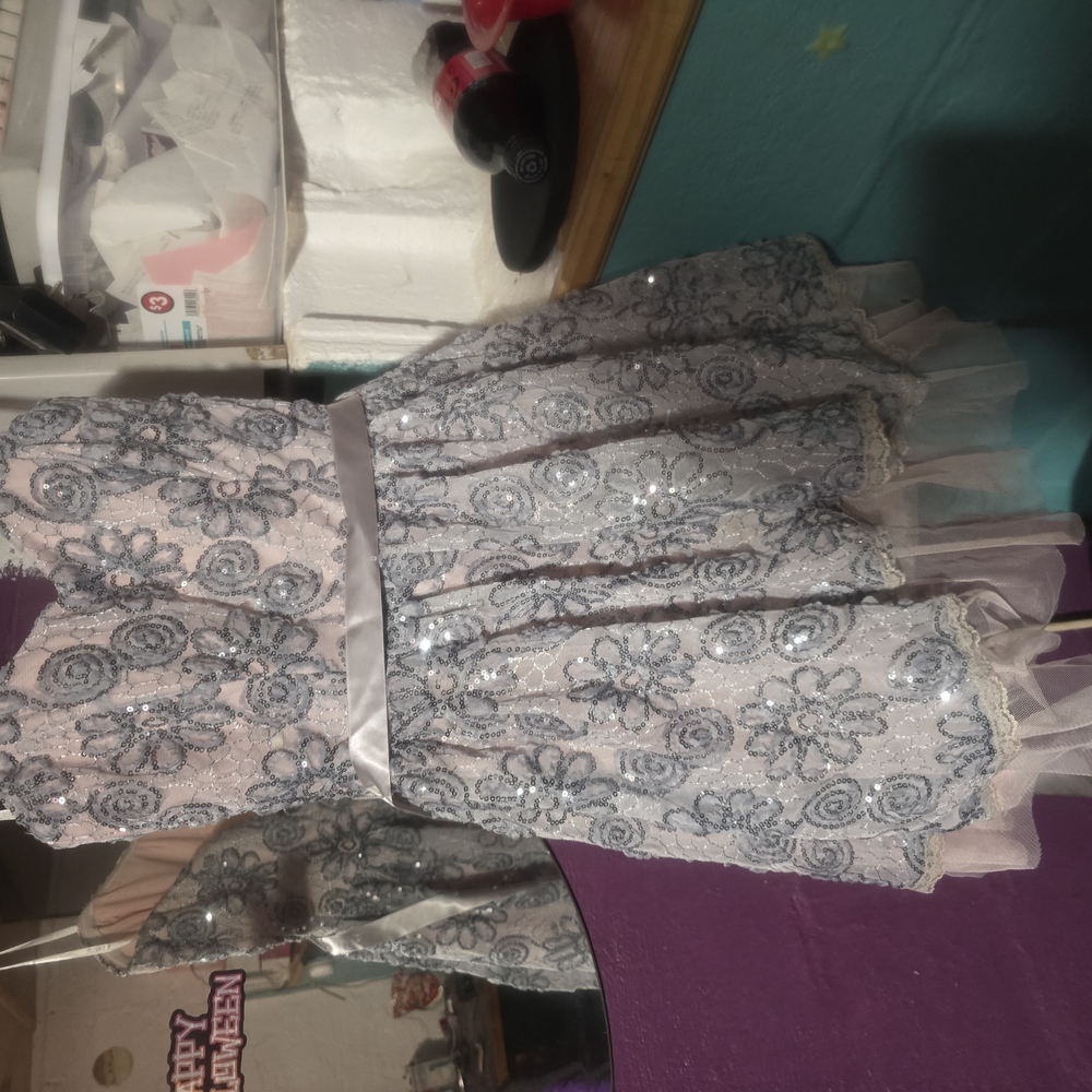 NWOT Elegant Lace Floral Dress with Sequins